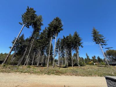Terreno en venta en Villa Campanario, Bariloche