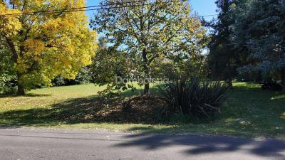 Terreno en venta en Francisco Álvarez, Moreno