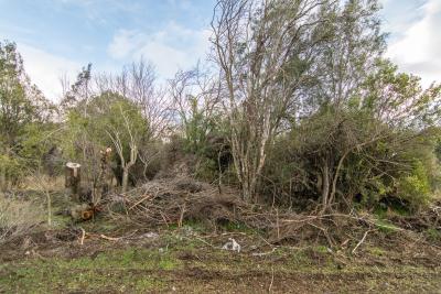 Terreno en venta en Parque Lago Moreno, Bariloche