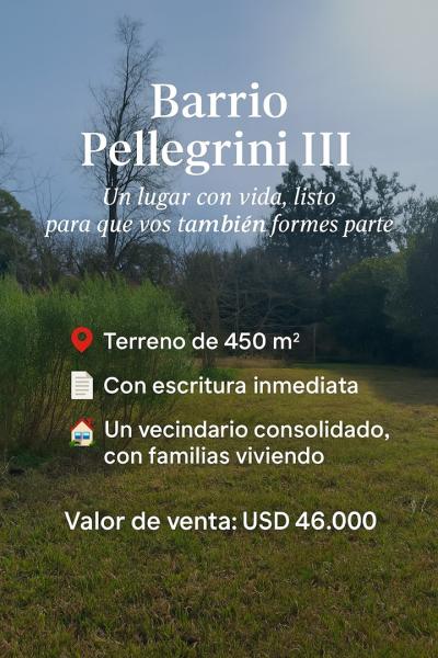 Terreno en venta en Pellegrini III (Villa Rosa), Pilar