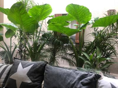 Casa 4 dormitorios en alquiler temporario en Santa Barbara, Tigre