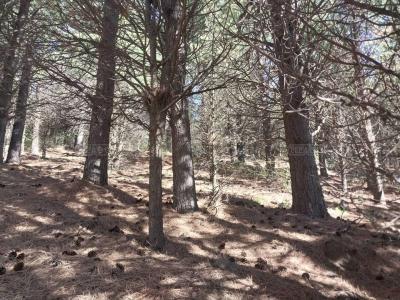 Terreno en venta en El Desafio, San Martin de los Andes