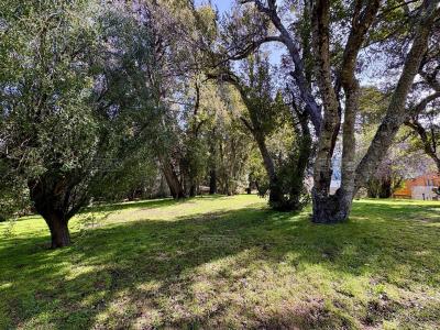 Terreno en venta en Lolog, San Martin de los Andes
