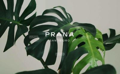 Departamento 1 dormitorios en alquiler en San Isidro