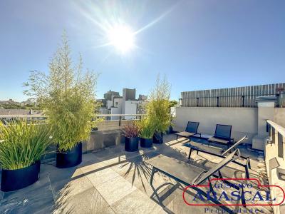 Departamento 1 dormitorios en alquiler en Villa Urquiza, Ciudad de Buenos Aires