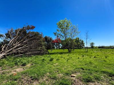 Terreno en venta en Pilara, Pilar