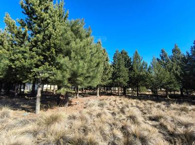 Terreno en venta en Dos Valles, Bariloche