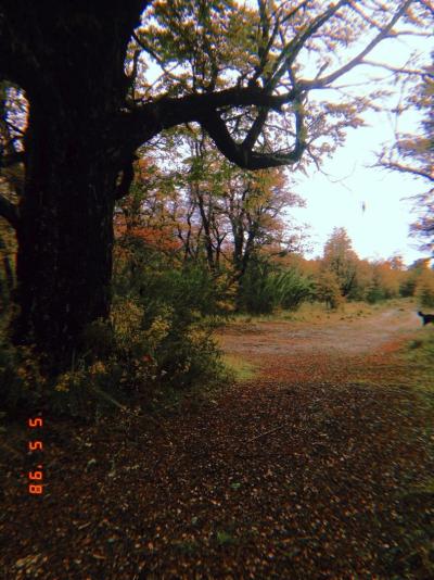 Terreno en venta en Lago Hermoso, San Martin de los Andes