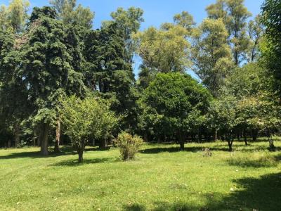 Terreno en venta en Francisco Álvarez, Moreno