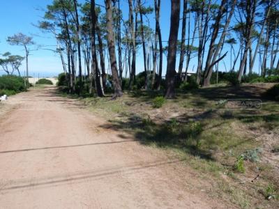 Terreno en venta en Punta del Este, Punta del Este