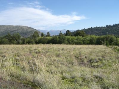 Terreno en venta en Quilquihue, San Martin de los Andes