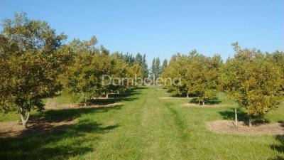 Terreno en venta en Punta Indio