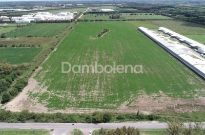 Terreno en venta en Zarate Centro, Zarate