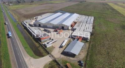 Depósito en venta en Alvear, Rosario