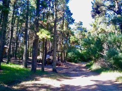 Terreno en venta en Mar de las Pampas