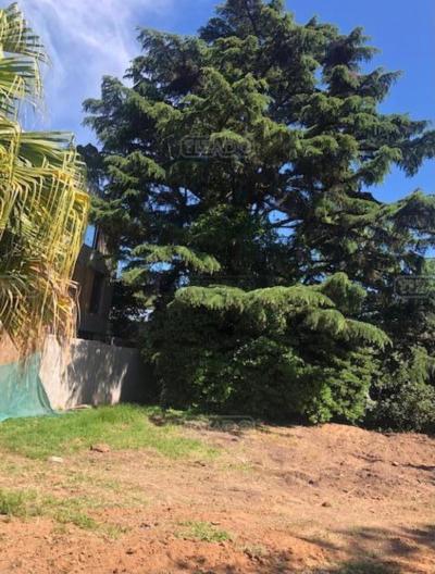 Terreno en venta en Lomas de San Isidro, San Isidro