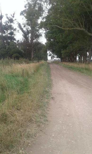 Terreno en venta en Miramar