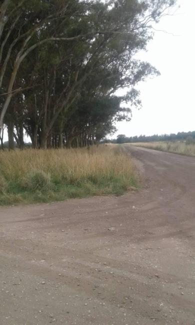 Terreno en venta en Miramar