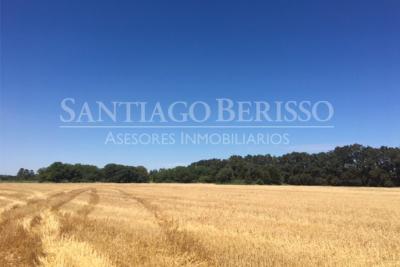 Terreno en venta en Zarate