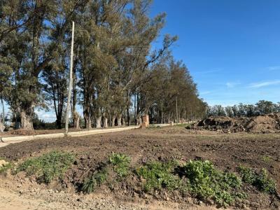 Terreno en venta en Pilar del Este, Pilar