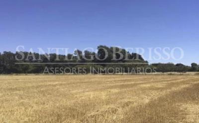 Terreno en venta en Zarate