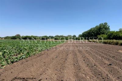 Terreno en venta en Parada Robles, Exaltacion de la Cruz