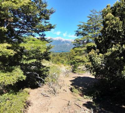 Terreno en venta en Centro de Bariloche, Bariloche