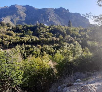 Terreno en venta en Centro de Bariloche, Bariloche