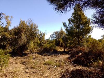Terreno en venta en Centro de Bariloche, Bariloche