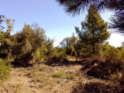 Terreno en venta en Centro de Bariloche, Bariloche