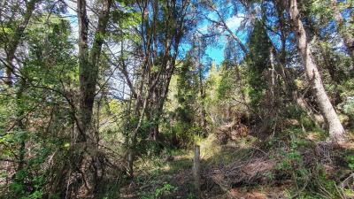 Terreno en venta en Villa Suyai, Bariloche
