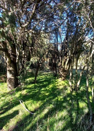 Terreno en venta en Bariloche
