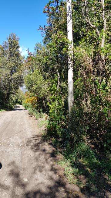 Terreno en venta en Villa Lago Gutierrez, Bariloche