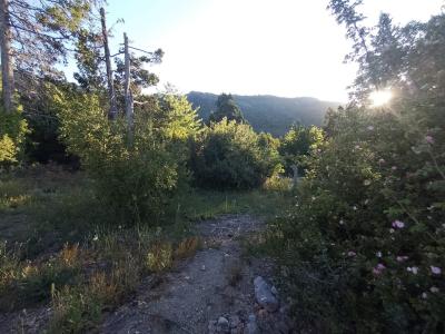 Terreno en venta en Centro de Bariloche, Bariloche