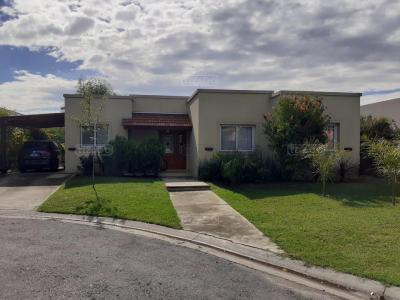 Casa 3 dormitorios en alquiler en General Pacheco, Tigre