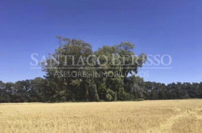 Terreno en venta en Lima, Zarate