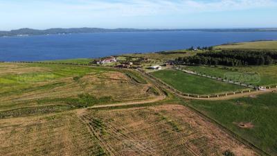 Terreno en venta en Punta del Este, Punta del Este