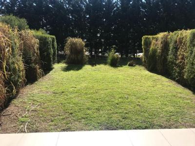 Departamento 1 dormitorios en alquiler en Nordelta, Tigre