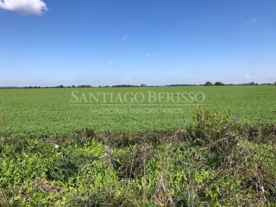 Terreno en venta en Zarate