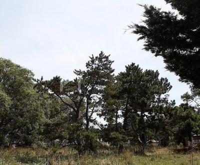 Terreno en venta en Costa Del Este