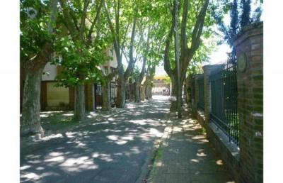 Terreno en venta en San Andres, San Martin