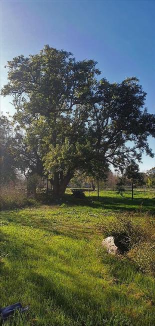 Terreno en venta en Ing. Maschwitz, Escobar