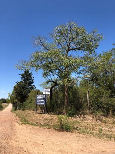 Terreno en venta en Colon