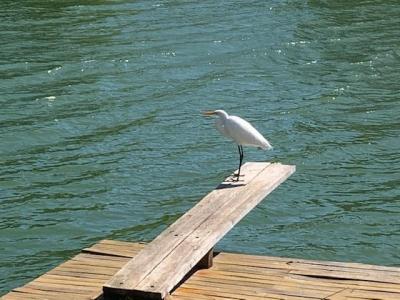 Casa 4 dormitorios en alquiler en Santa Barbara, Tigre