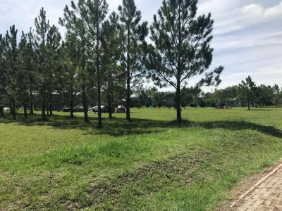 Terreno en venta en Los Cardales, Exaltacion de la Cruz