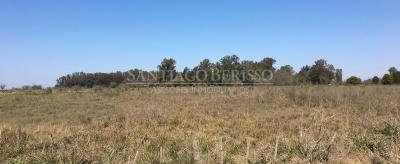 Terreno en venta en Diego Gaynor, Exaltacion de la Cruz