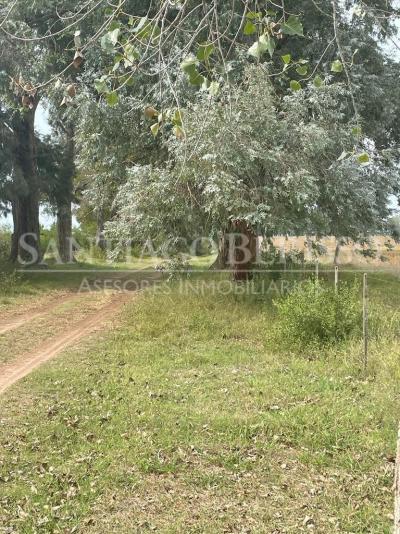Terreno en venta en Campana