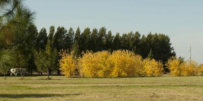 Terreno en venta en Club de Campos Las Hojas, Marcos Paz