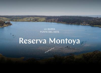 Terreno en venta en Punta del Este, Punta del Este