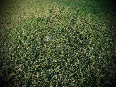 Terreno en venta en Pilar, Pilar